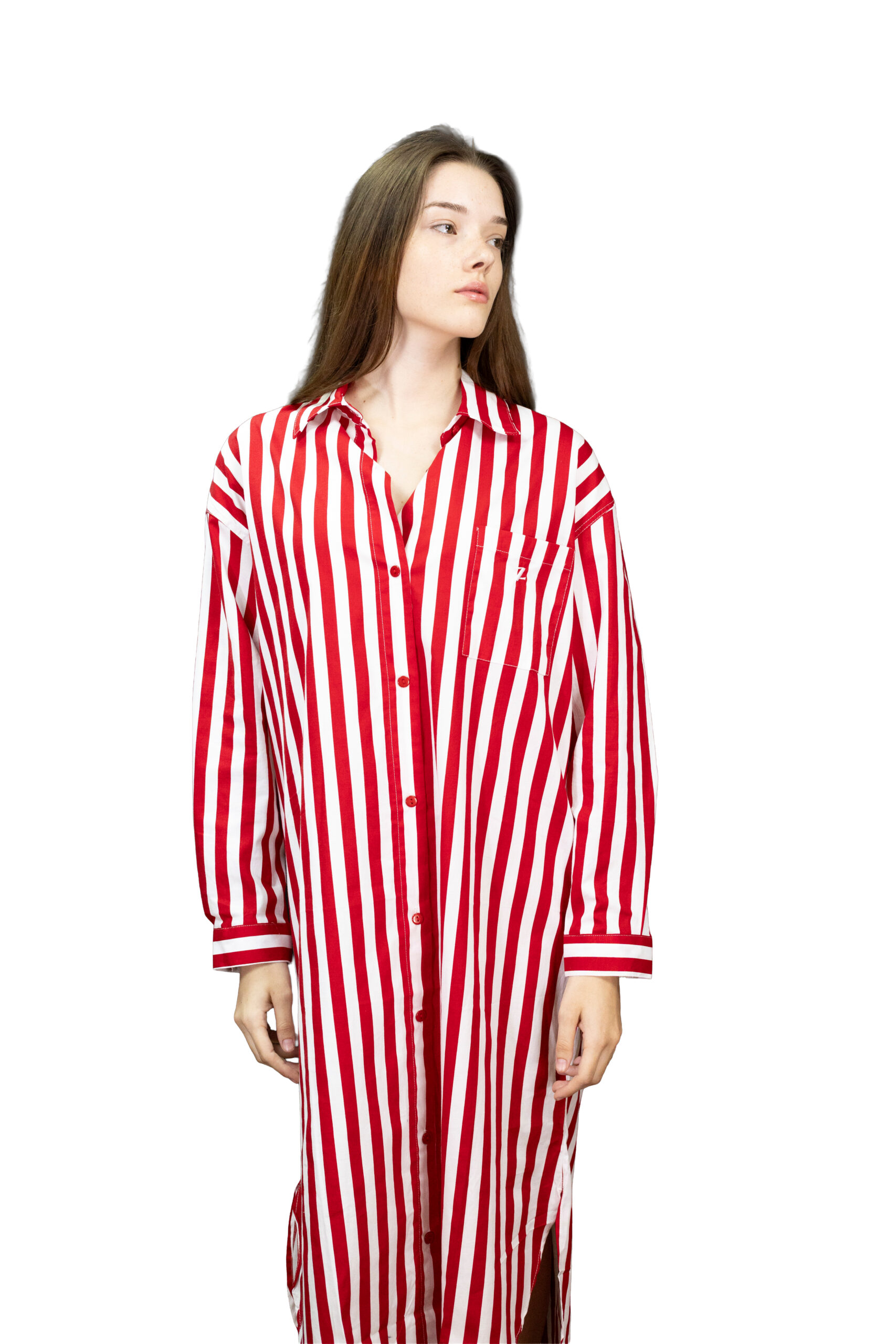 Zaza Dress 4