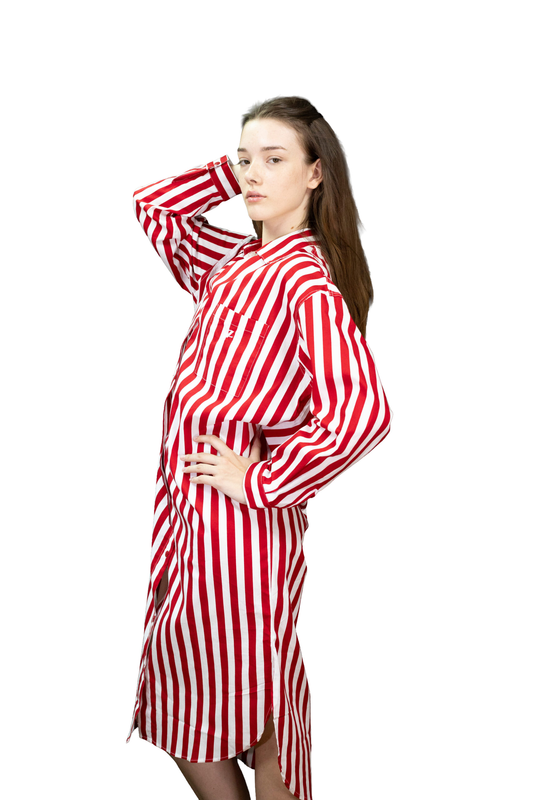 Zaza Dress 3