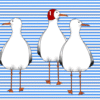 SLIP SEAGULL
